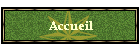 Accueil